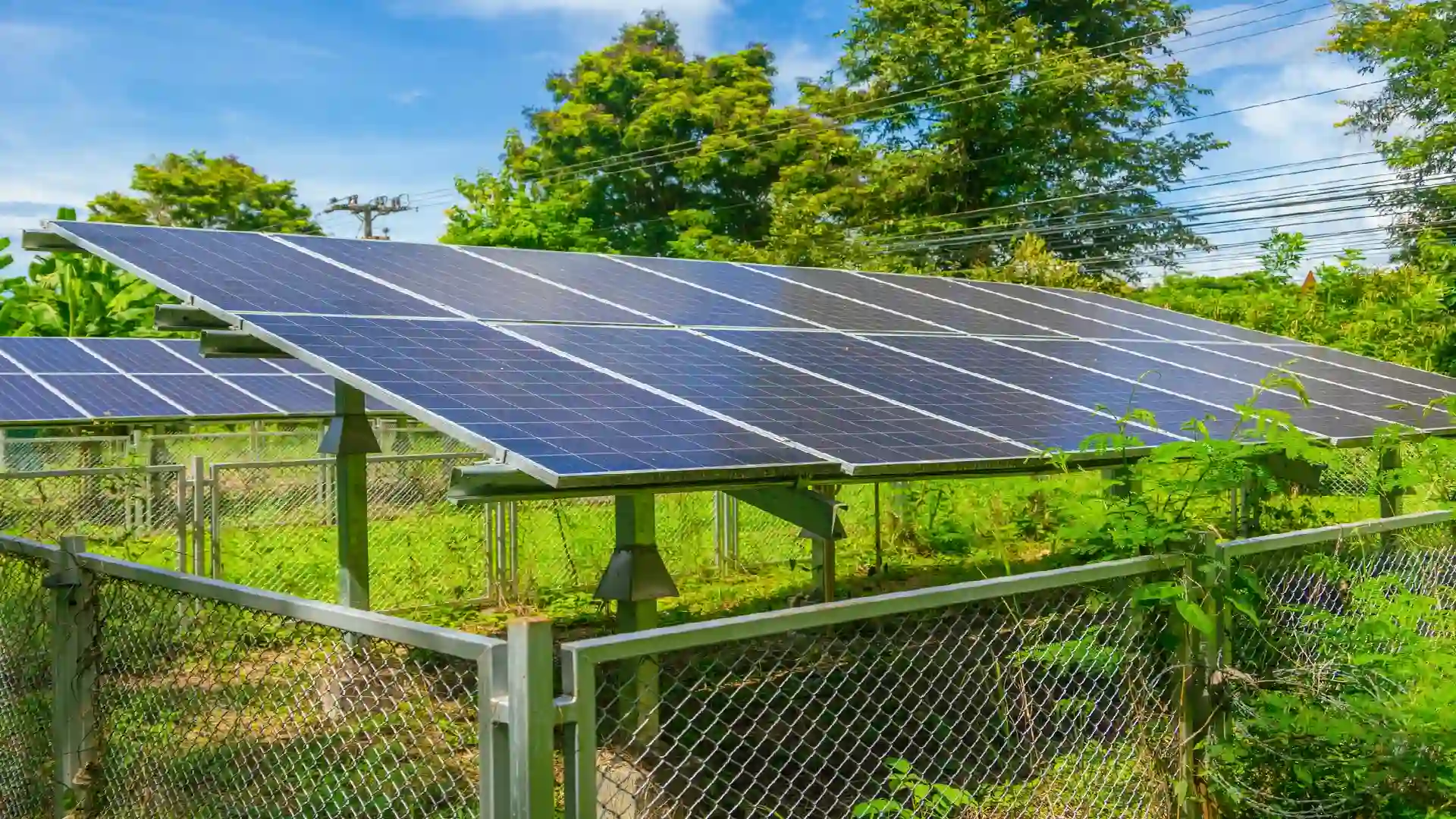 medium small solar farm solar panel with green ecology plant tree sunny blue sky eco power clean energy for nature savings environment technology concept (1)